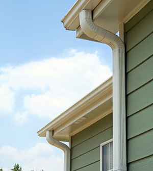 Gutter for Services